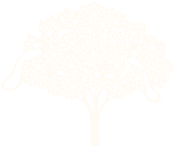ashtanga yoga tree