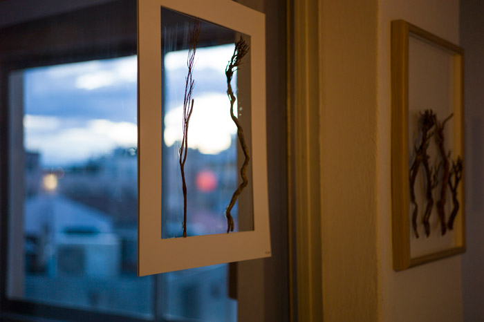 ashtanga-yoga-shala-lobby
